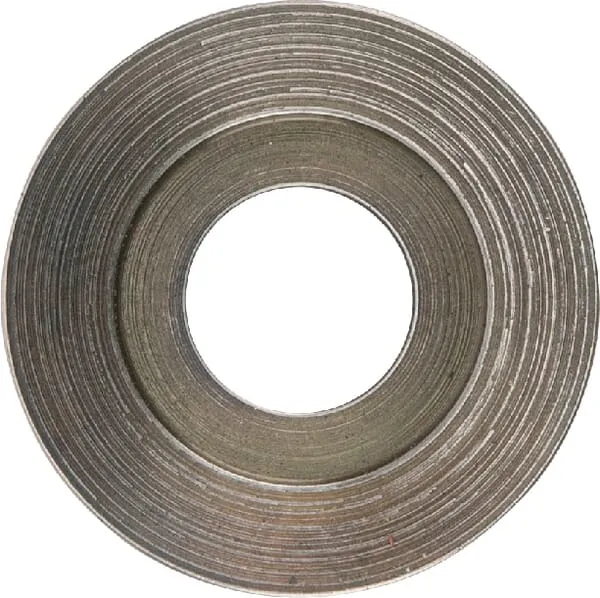 Bezpečnostní kotouč