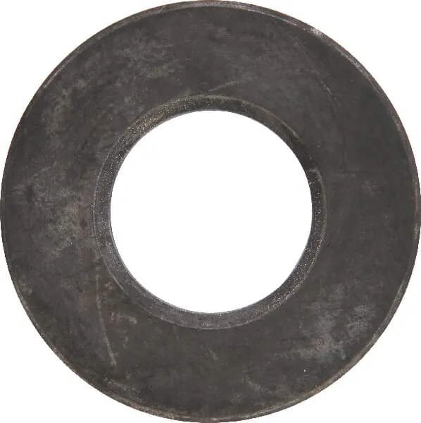 Disk