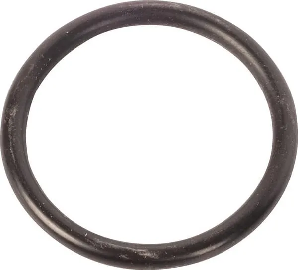 O-ring