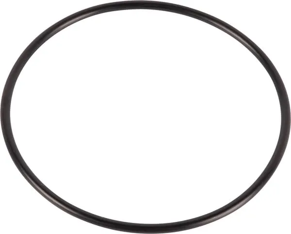 O-ring