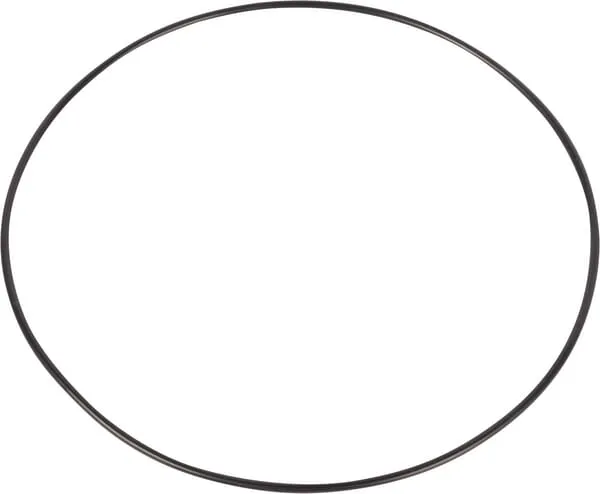 O-ring