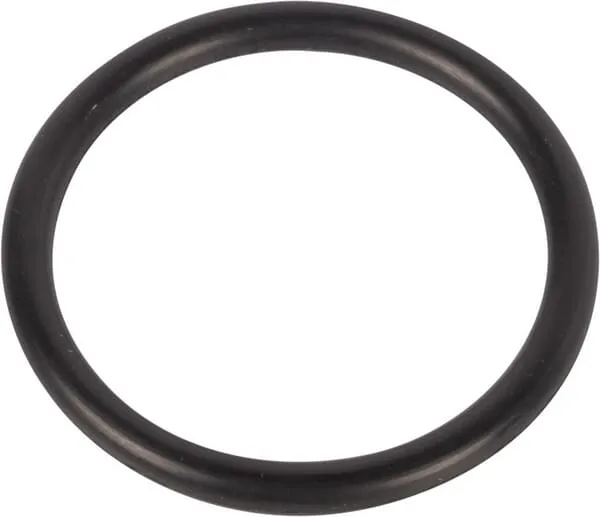 O-ring