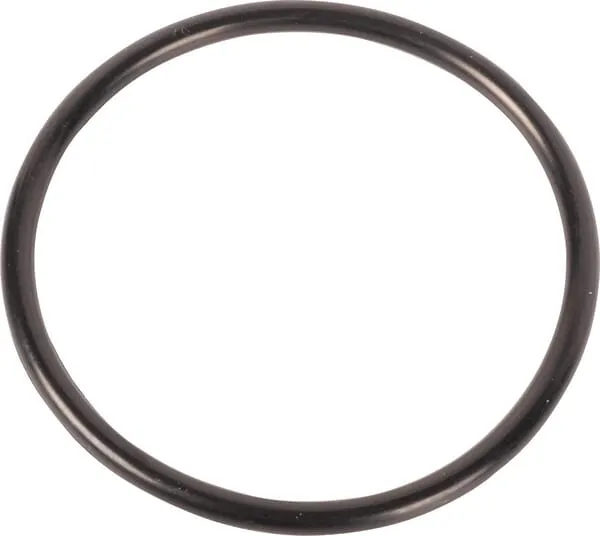 O-ring