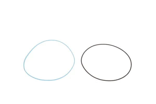 O-ring