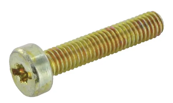 Šroub Torx M6x30KXRI.T25