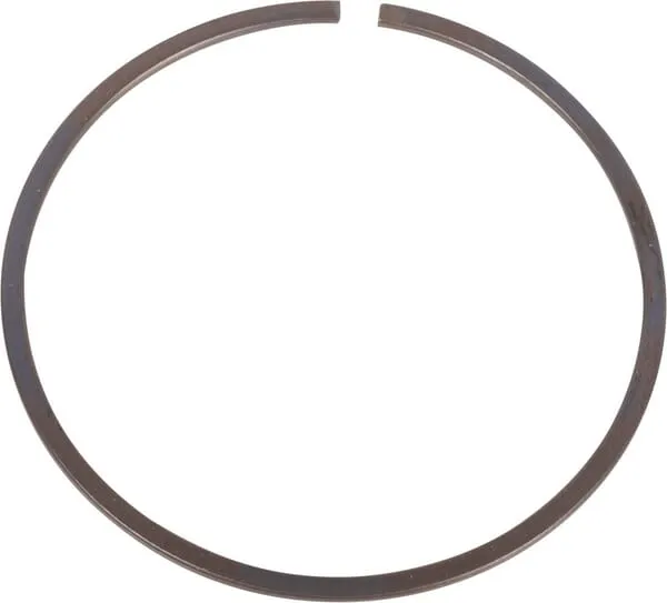 Snap ring