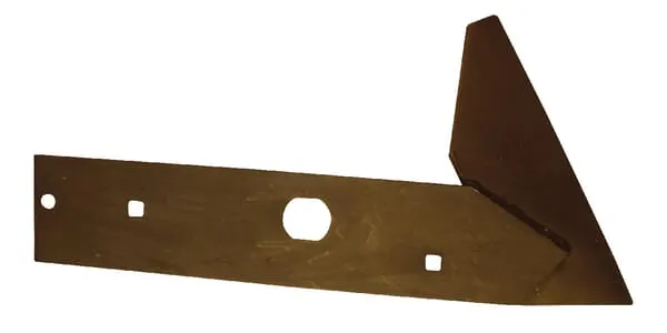 Radlice, pravá (56236) Goizin