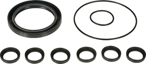 Náhr.sada pro čerp.Bertolini