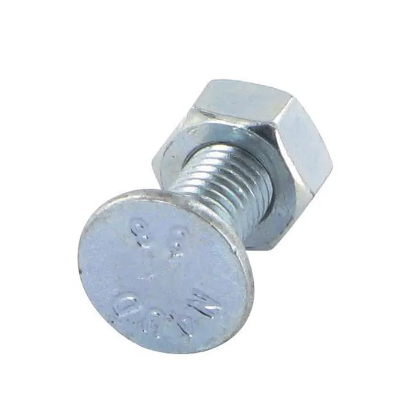 Pluh.šroub s 1 nosem M10x30 + matice