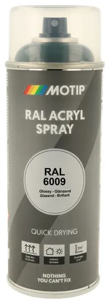 Barva ve spreji RAL 6009 jedlová zeleň