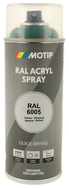 Barva ve spreji RAL 6005 mechově zelená