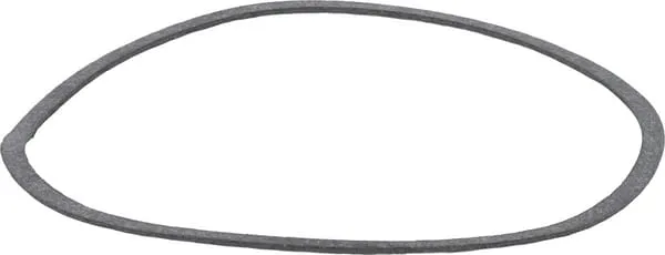 Těsnění termostatu