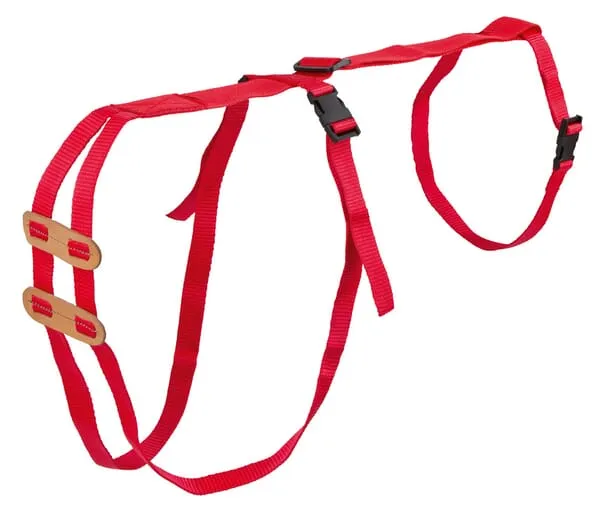 Prolapse harness for sheep