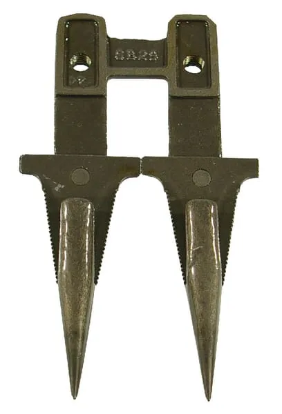 Dvojitý prst Reform