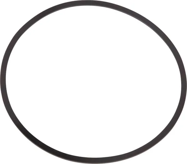 Back Up Ring