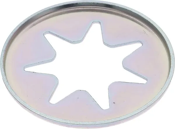 Bezpečnostní disk
