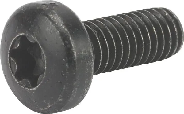 Šroub TCB Torx M6x16