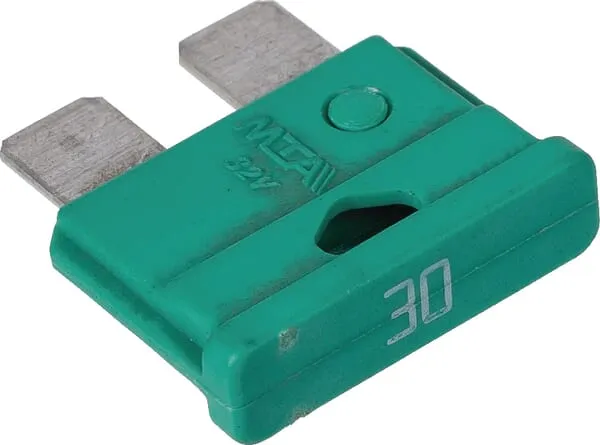 Pojistka 30A
