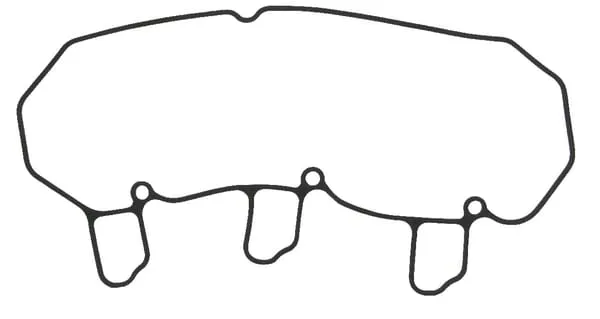 Těsnění krytu ventilu 3TNV76