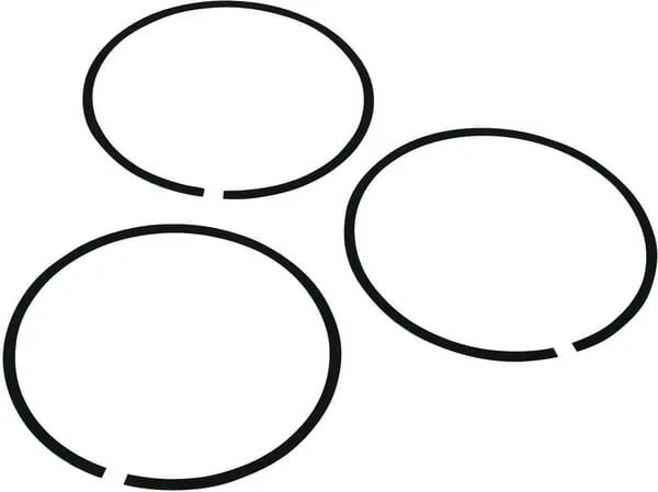 Lamelový kroužek 3x