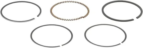 Sada kroužků, píst (stand.)