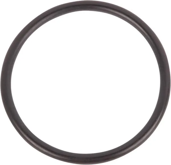 O-ring