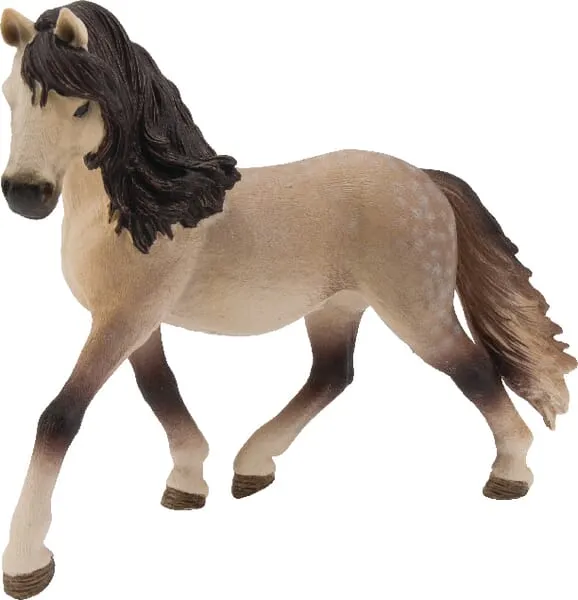 13793SCH Klisna Andalusier