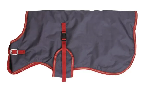 Calf blankets ThermoPlus