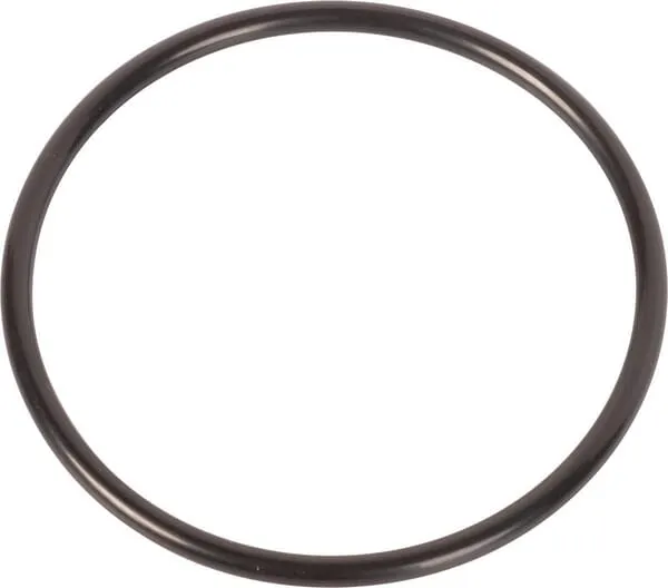 O-ring