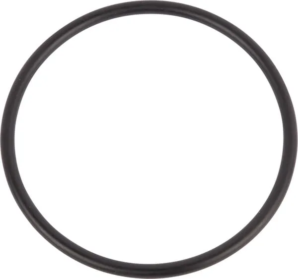 O-ring