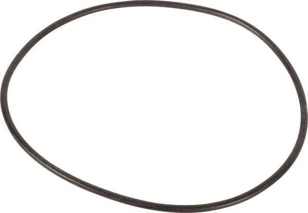 O-ring