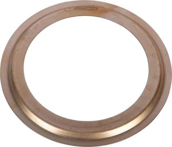 Olejové těsnění disk