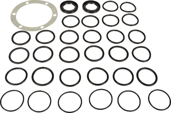 Náhr.sada pro čerp.Bertolini