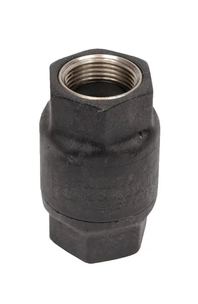 Zpětný ventil 3/4" nerezová ocel/plast