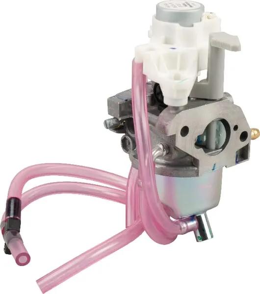 Karburátor Assy Bf30E D