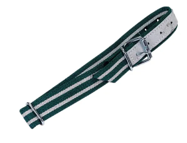 Obojek nylonový pro telata