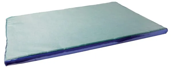 Dezinfekční rohož