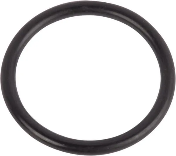 O-ring