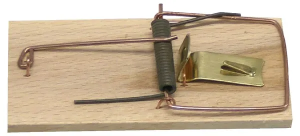 Past na myši dřevěná