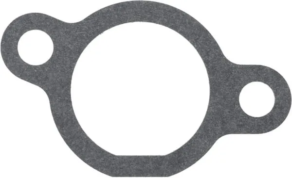 Těsnění karburátoru