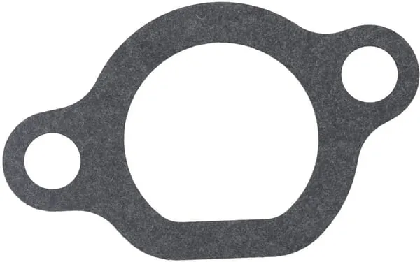 Těsnění karburátoru