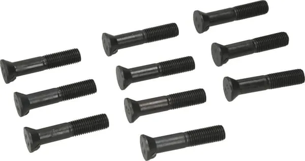 Šroub pluhu s 1 nosem M20x100