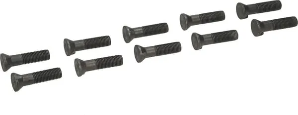 Pluhový šroub s 1 nosem M20x80