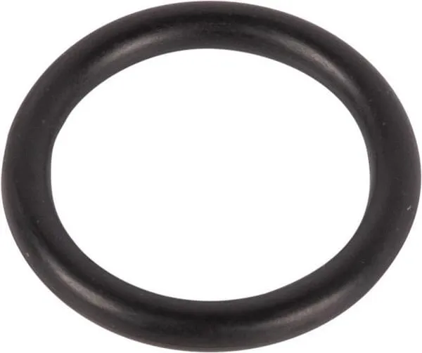 O-ring