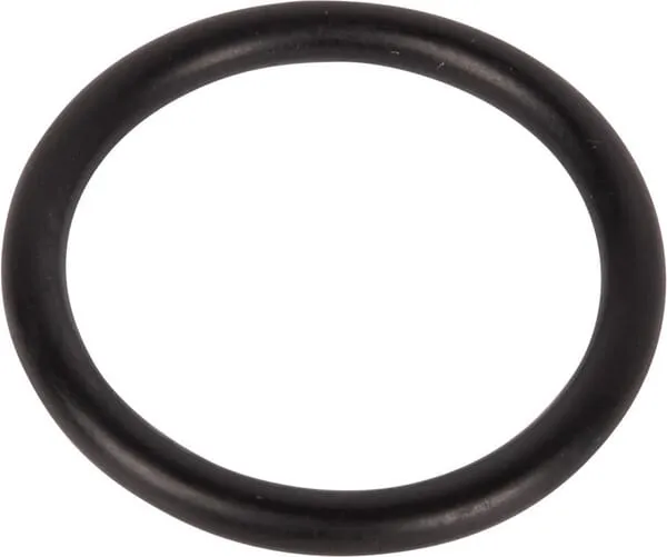 O-ring