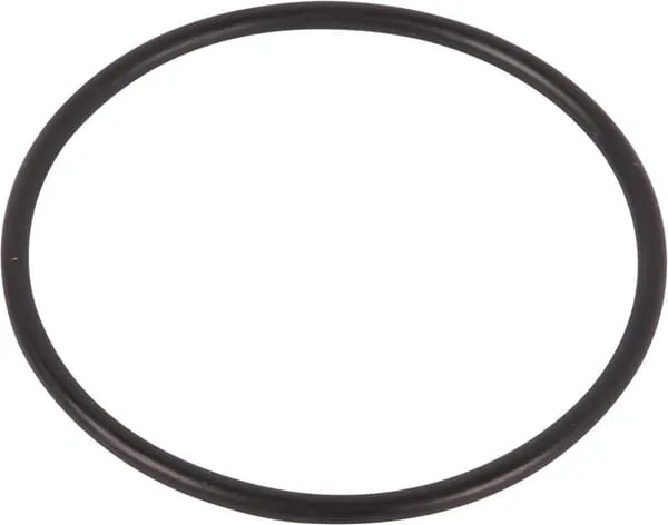 O-ring