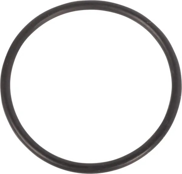 O-ring