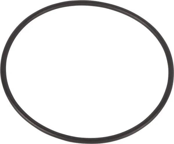 O-ring