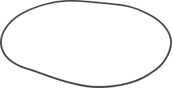 O-ring
