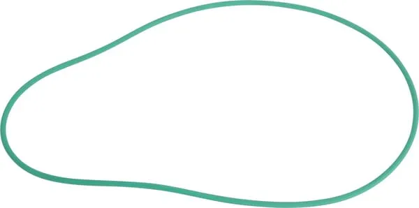 O-ring